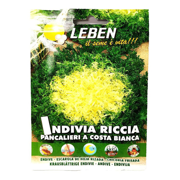 Leben - Indivia Riccia - Seeds-The Italian Shop